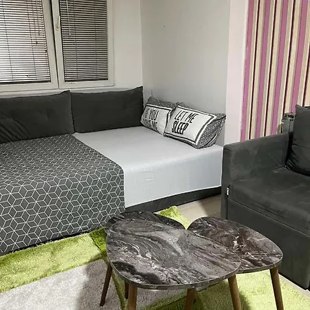 Lily * Skopje